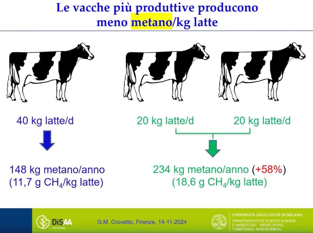 Le vacche pi&ugrave; produttive producono meno metano/chilogrammi latte